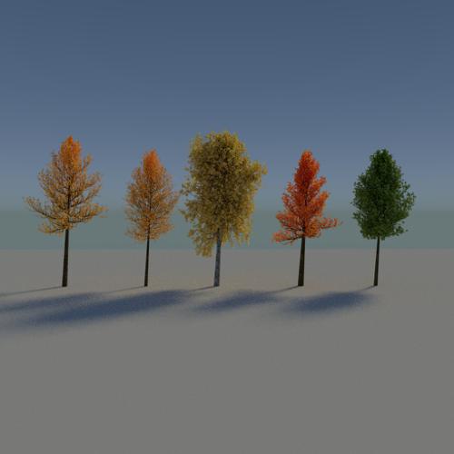 Autumn Trees preview image
